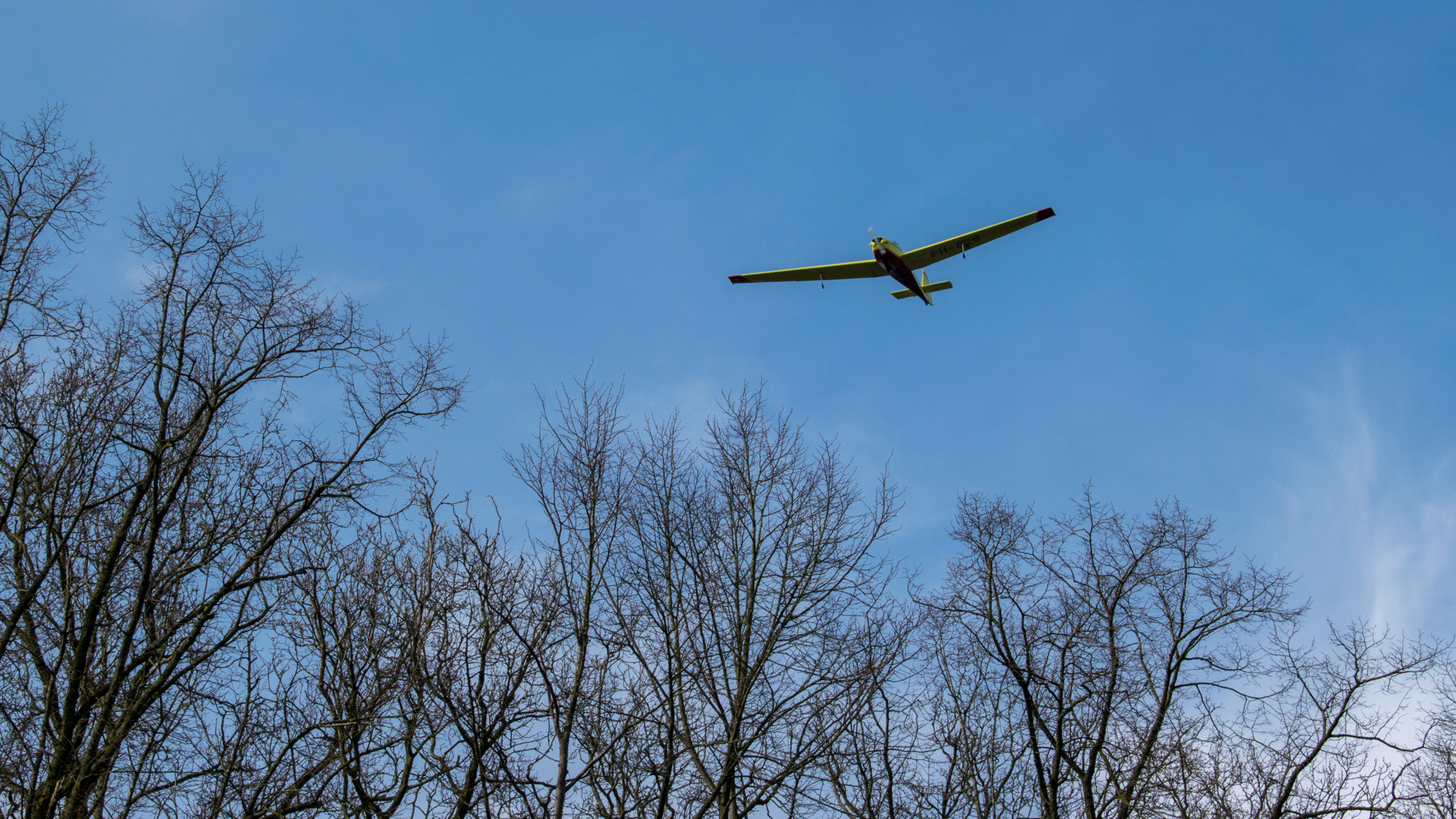 Test Nikon D3400 Focus Review