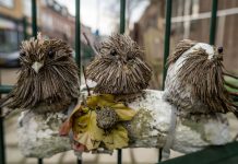 Full Review Viltrox AF 20mm F2.8 FE – goed en goedkoop