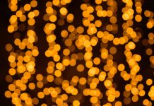 Full review: NIKKOR Z 135mm F1.8 S Plena nikkor-z-135mm-bokeh