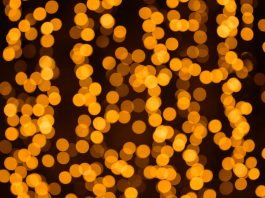 nikkor-z-135mm-bokeh